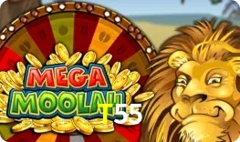 Mega Moolah